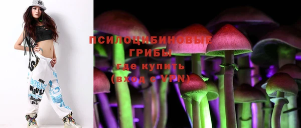 2c-b Вязники