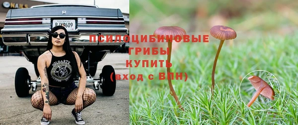 альфа пвп Вяземский