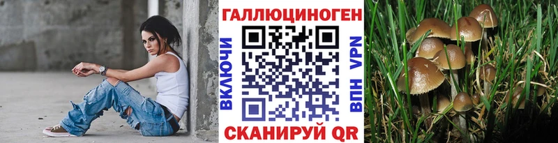 Купить закладки Сретенск Галлюциногенные грибы GOLDEN TEACHER