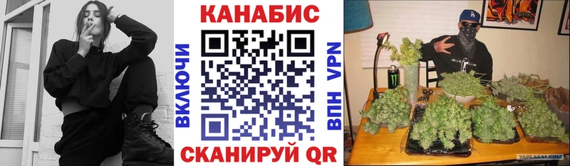 Купить где  Сретенск  Бошки марихуана OG Kush 